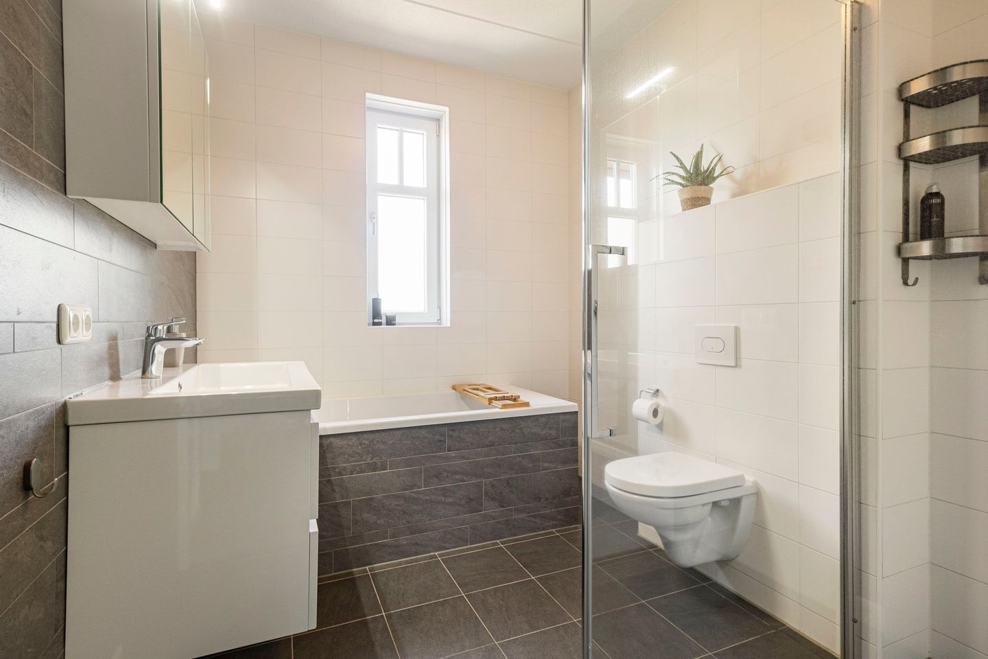 Foto 20 van Meerkoet 18