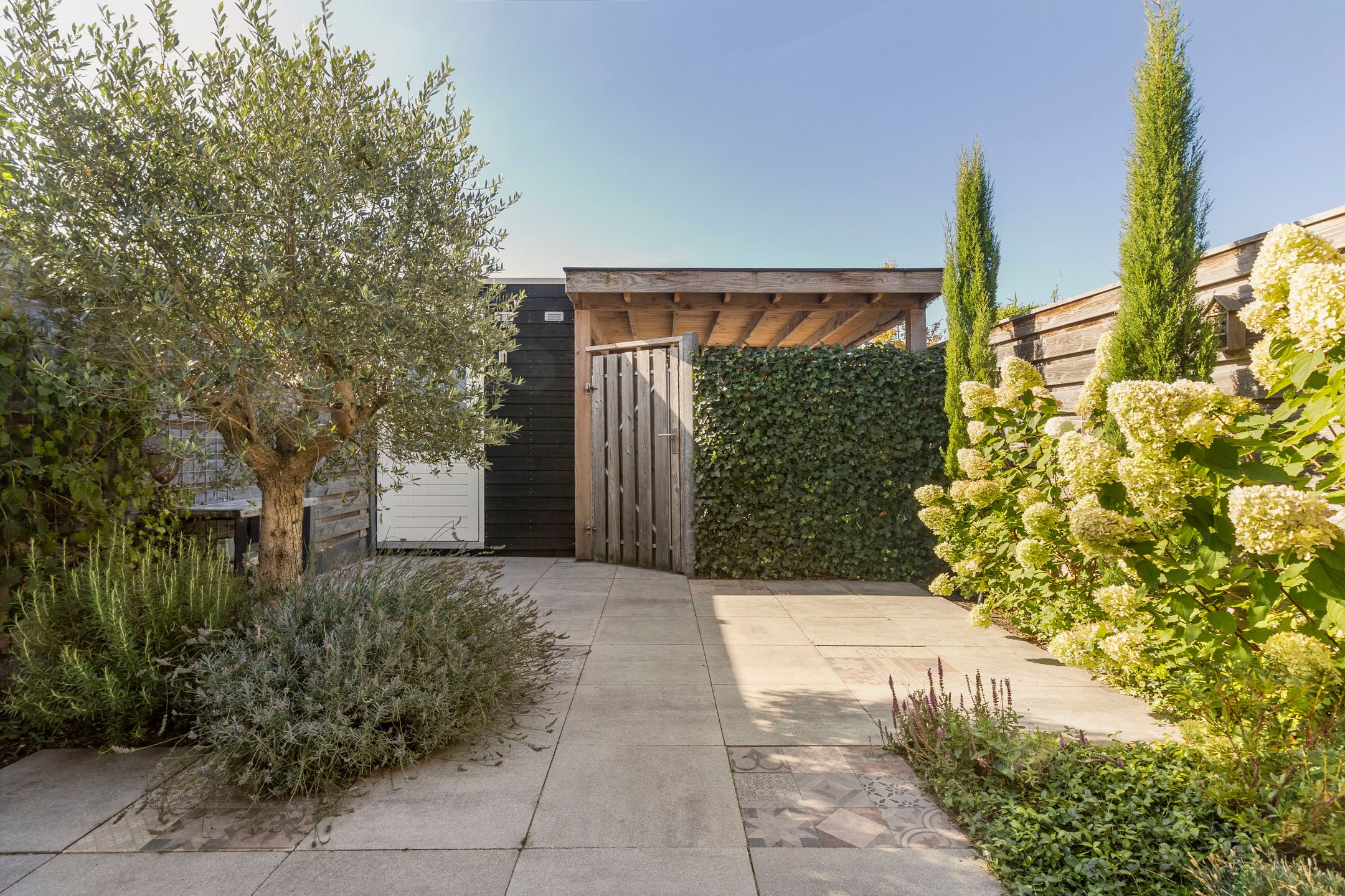 Foto 30 van Meerkoet 18