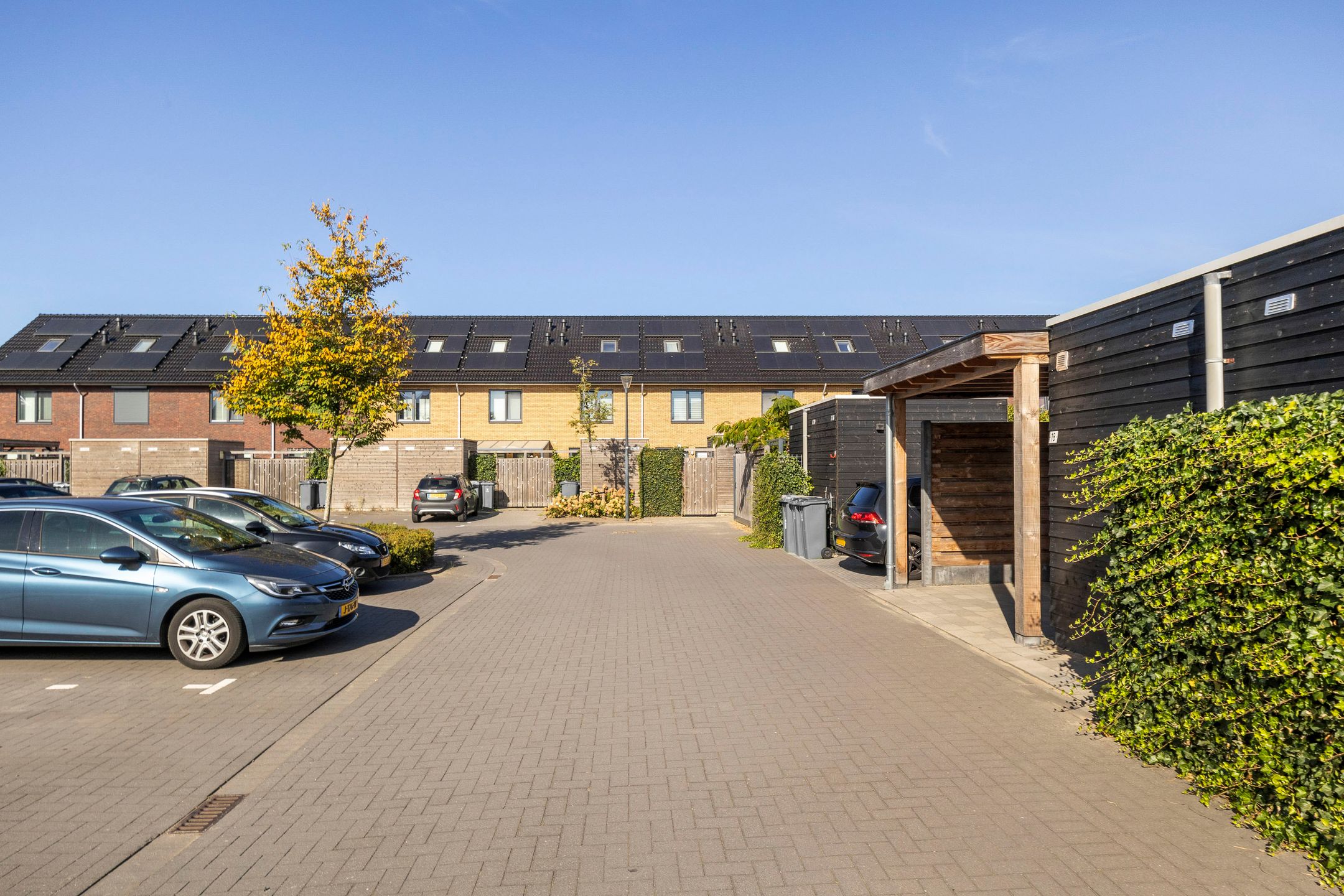 Foto 33 van Meerkoet 18