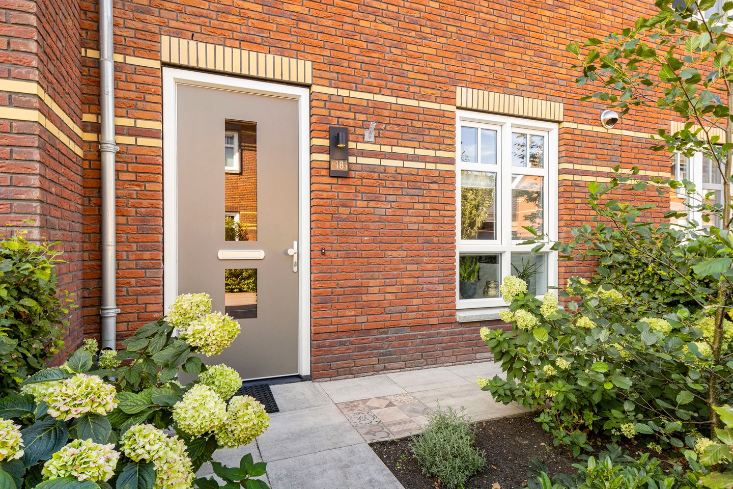 Foto 34 van Meerkoet 18