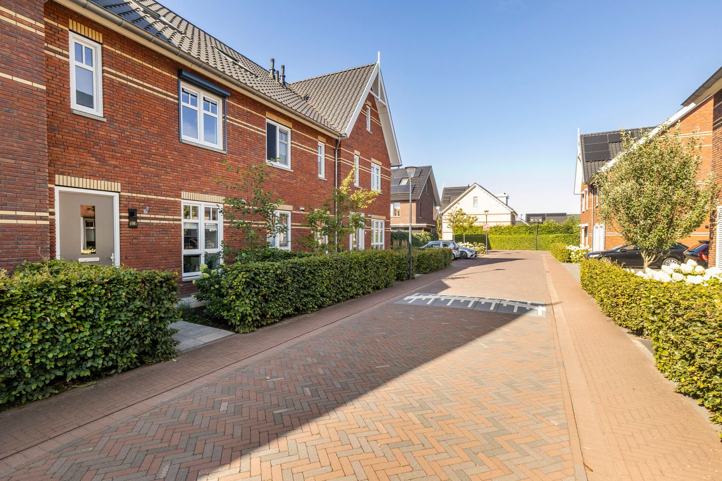 Foto 35 van Meerkoet 18