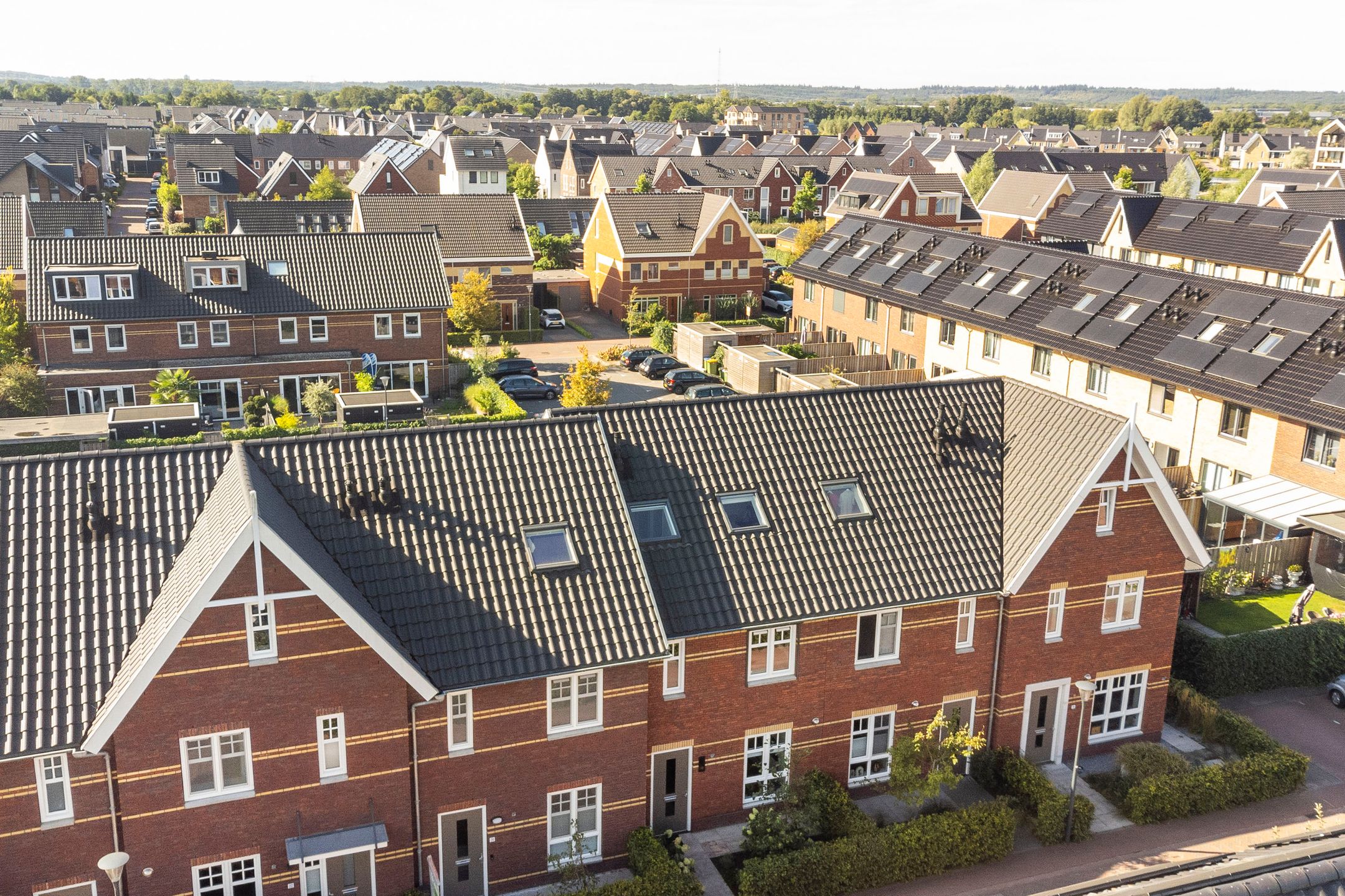 Foto 36 van Meerkoet 18