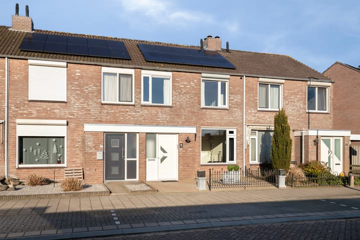 Peellaan 61 main image