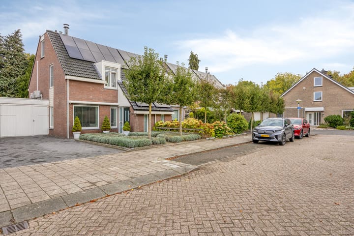 Foto 5 van Amerlaan 16