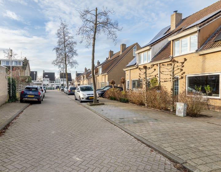 Foto 29 van Koolmees 33