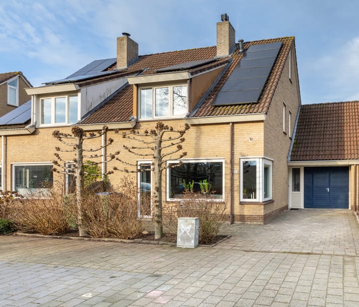 Koolmees 33 main image