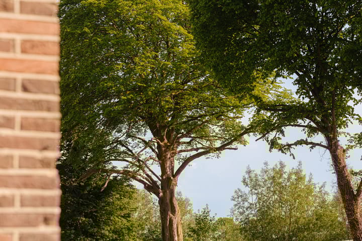 Foto 17 van 's-Gravelandseweg 22-C