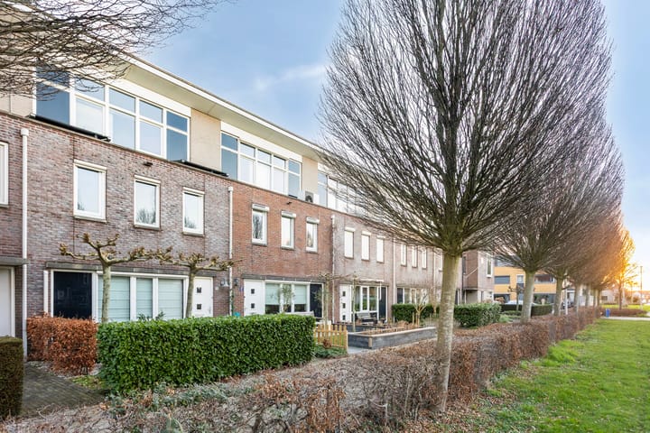 Foto 10 van Otello 17