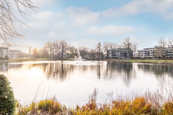 Foto 43 van Olympiastraat 40