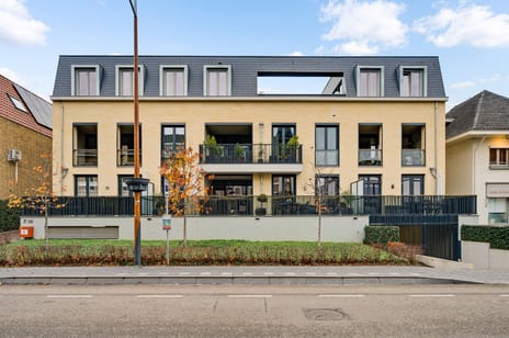 Reinaldstraat thumbnail