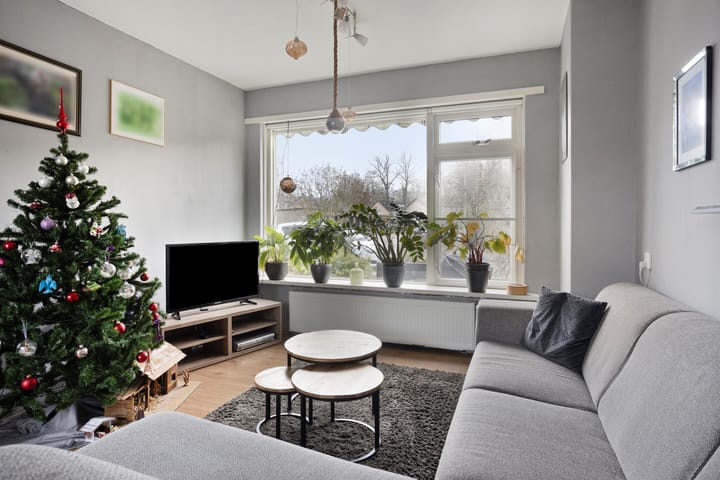 Foto 9 van de Bongerd 6