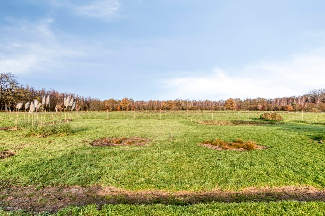 Foto 41 van Zandstraat 15