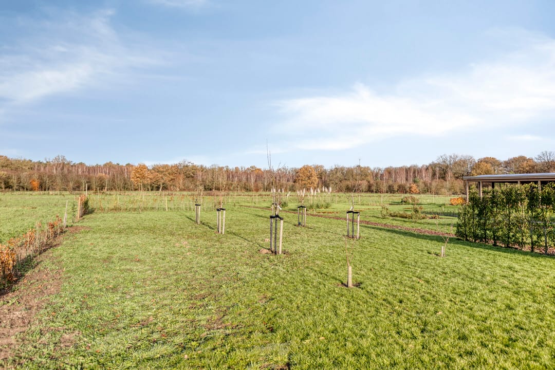 Foto 43 van Zandstraat 15