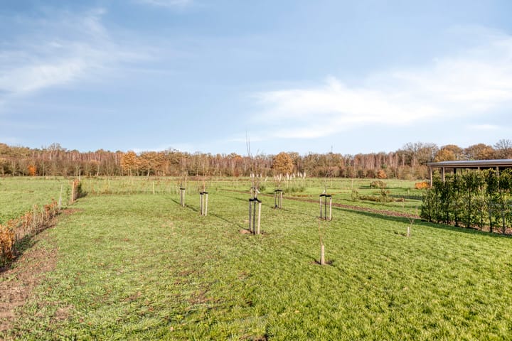 Foto 43 van Zandstraat 15