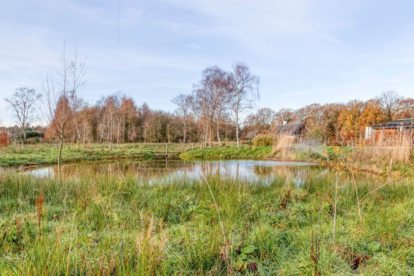 Foto 49 van Zandstraat 15