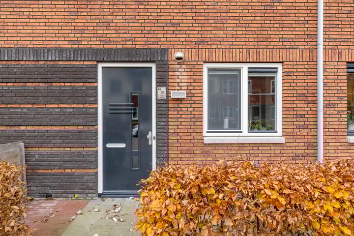 Foto 7 van Vuurvlinder 30