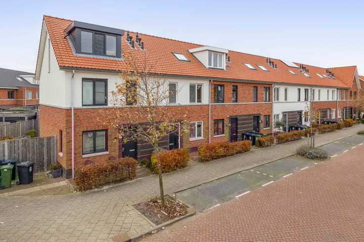 Foto 31 van Vuurvlinder 30