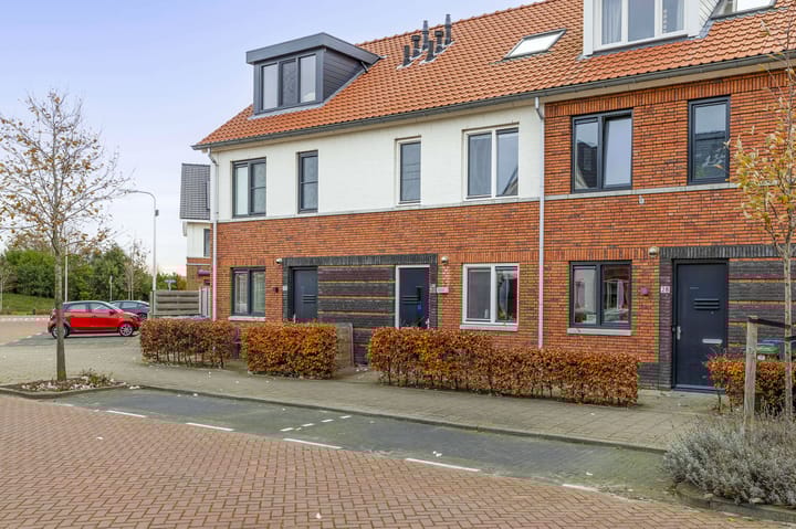 Foto 32 van Vuurvlinder 30