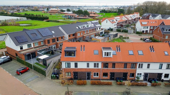 Foto 33 van Vuurvlinder 30