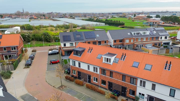 Foto 34 van Vuurvlinder 30