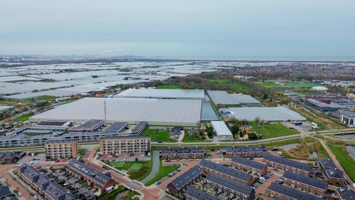 Foto 38 van Vuurvlinder 30