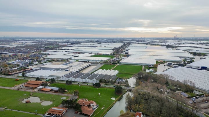 Foto 41 van Vuurvlinder 30