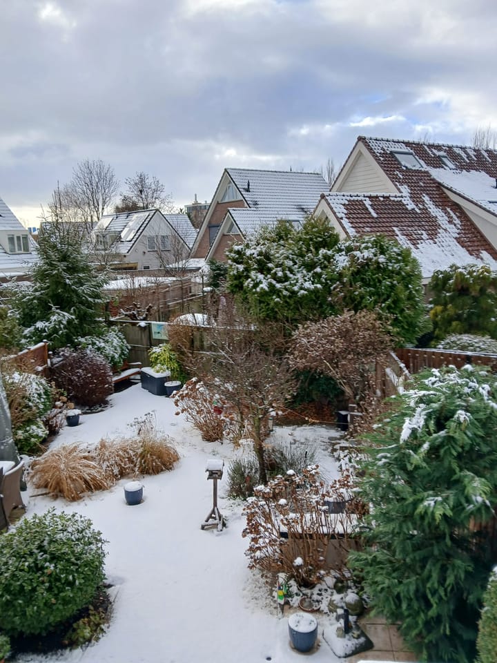 Foto 32 van Frans Coenenstraat 6