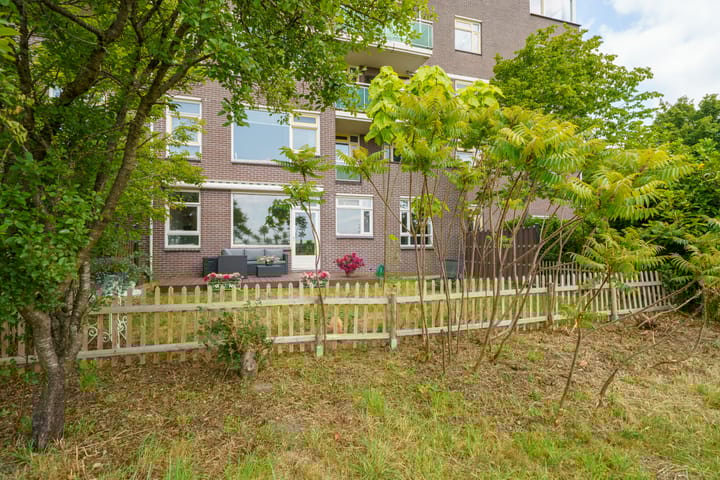 Photo 33 of Dijkmeent 3