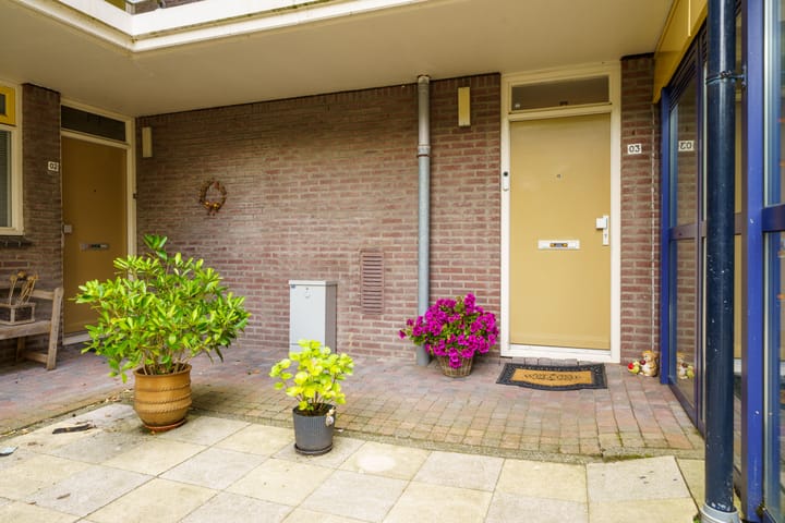 Photo 38 of Dijkmeent 3