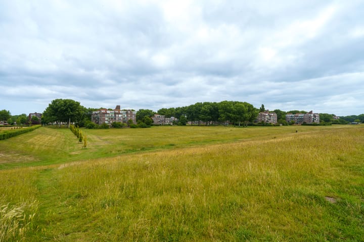 Photo 43 of Dijkmeent 3