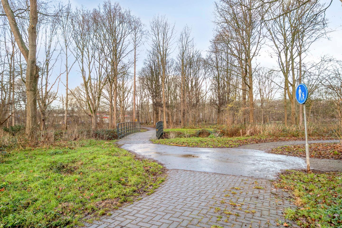 Foto 19 van Frans Halsstraat 61