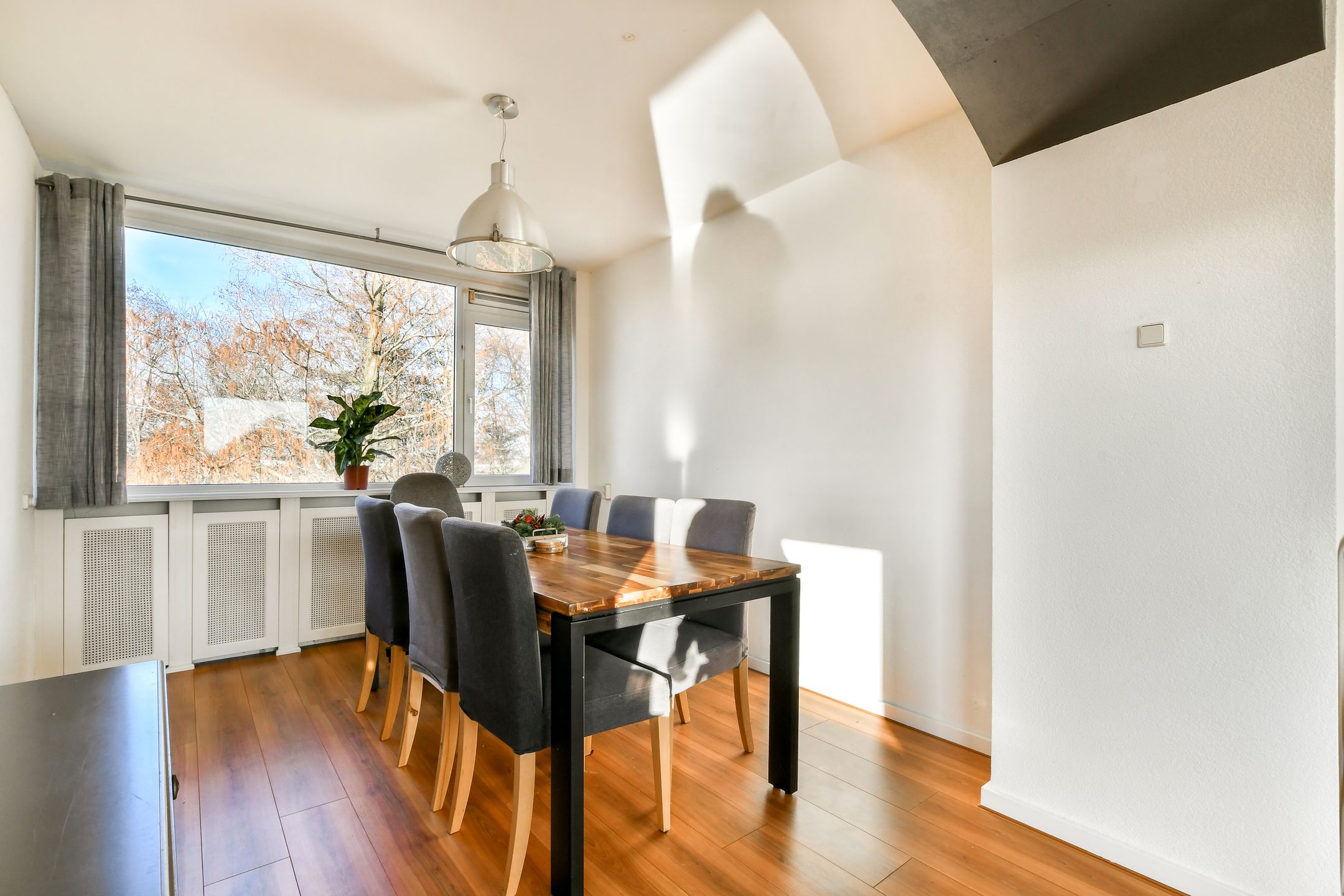 Foto 6 van Saksenhorst 17-C