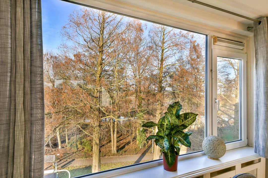 Foto 7 van Saksenhorst 17-C