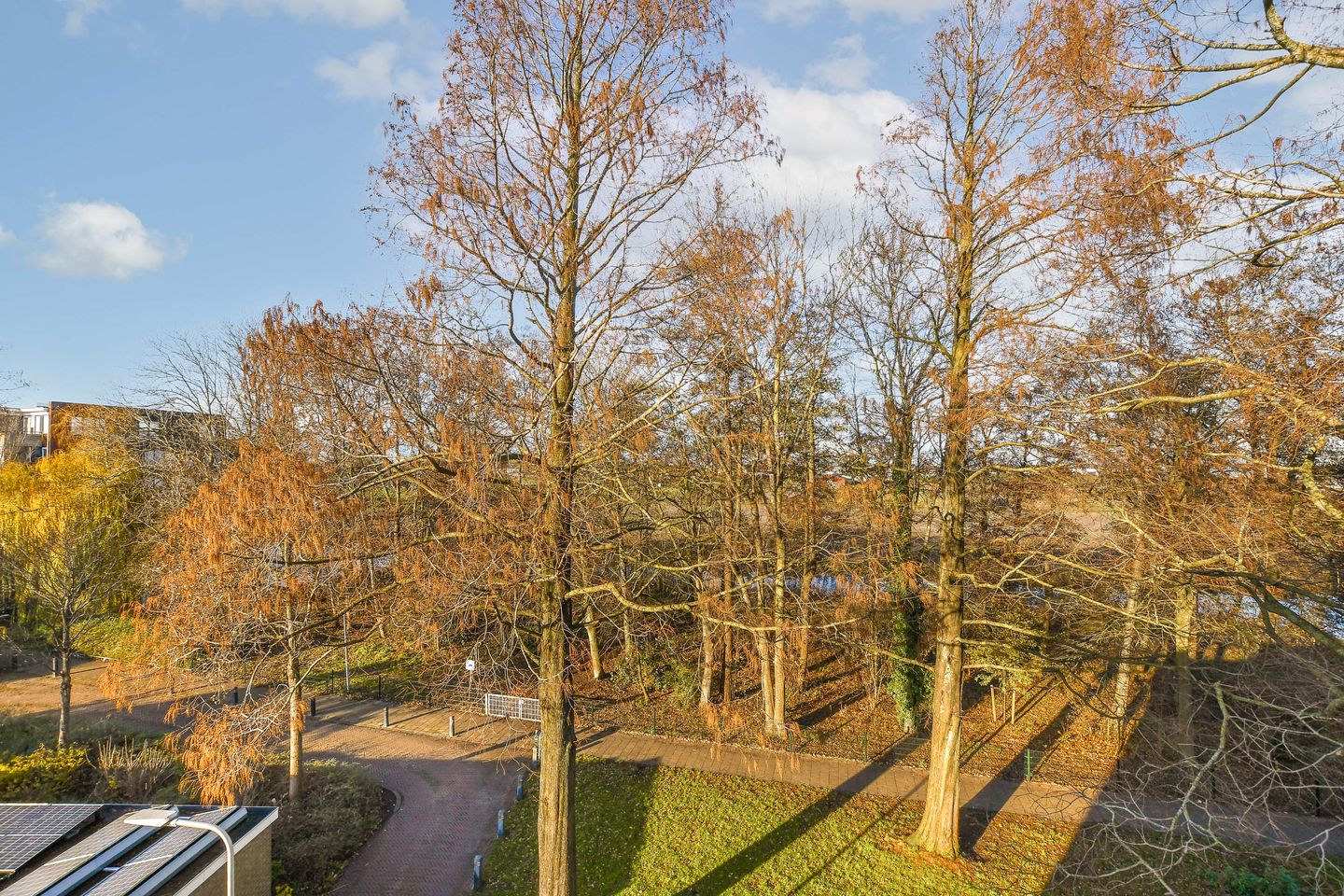 Foto 14 van Saksenhorst 17-C