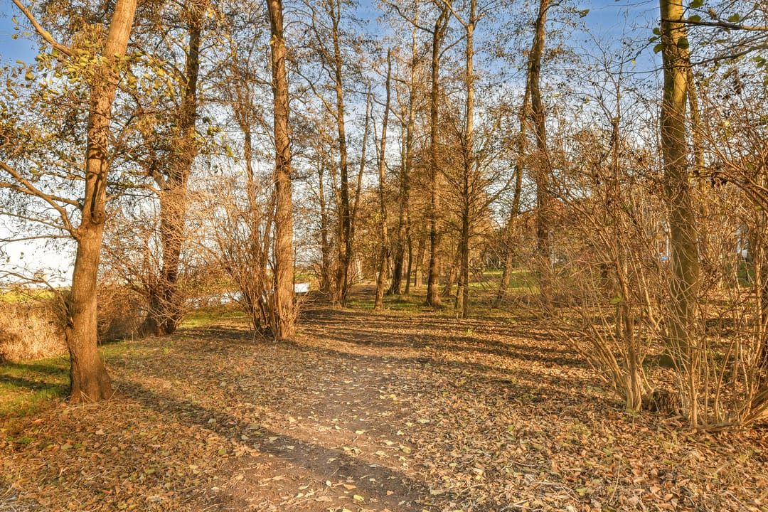 Foto 23 van Saksenhorst 17-C