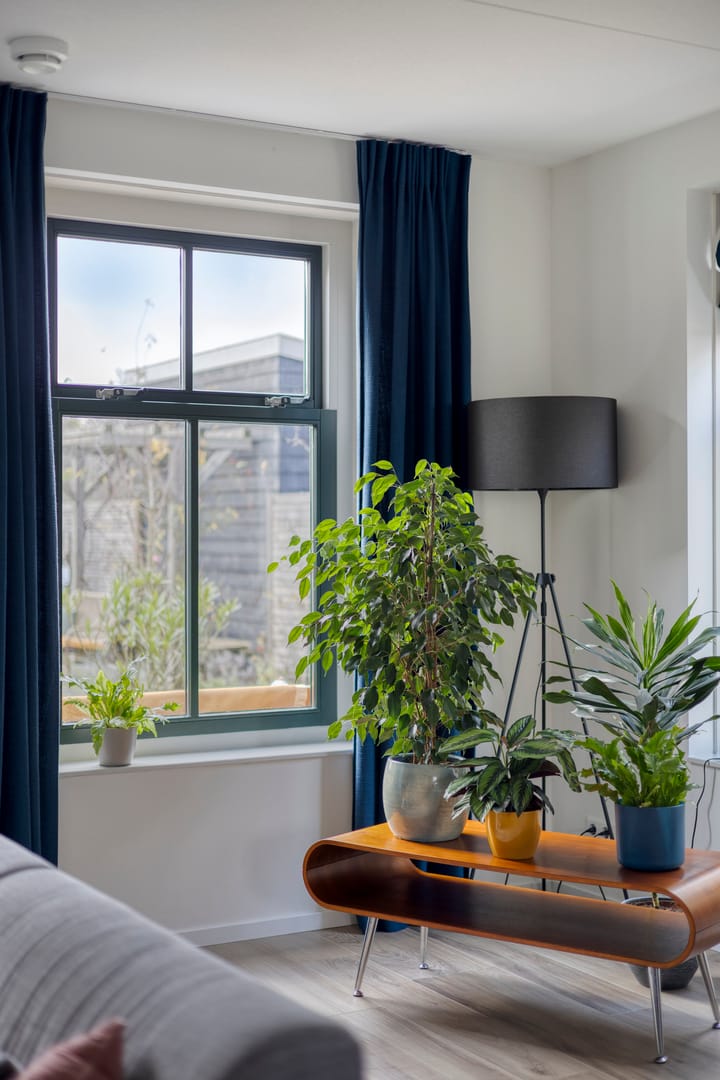 Foto 41 van Rietgorspad 20