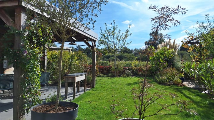 Foto 18 van Rietgorspad 20