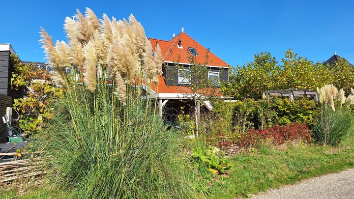 Foto 19 van Rietgorspad 20