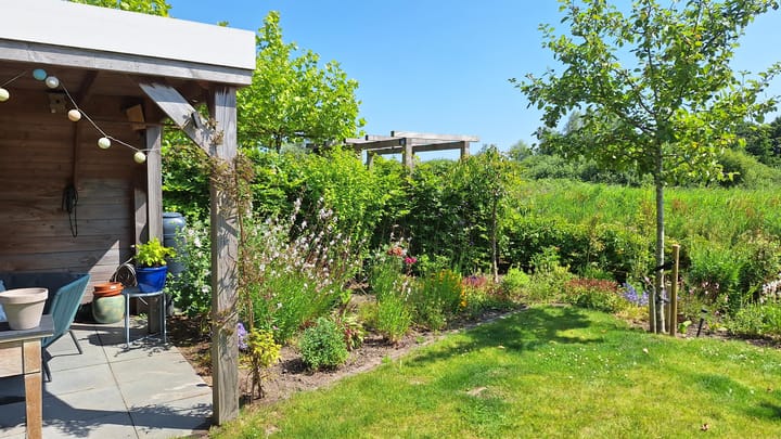 Foto 47 van Rietgorspad 20