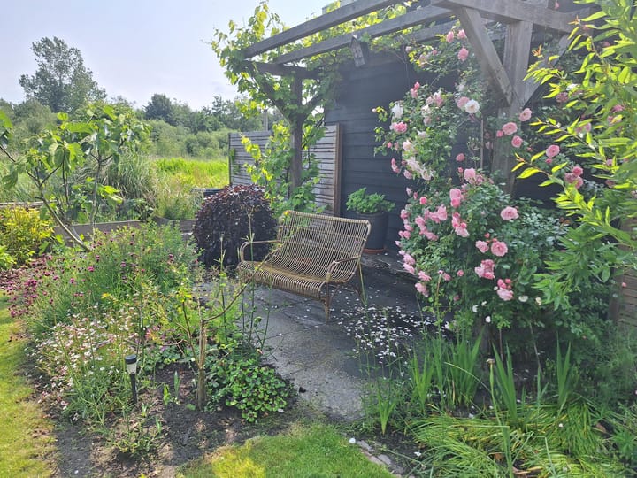 Foto 49 van Rietgorspad 20