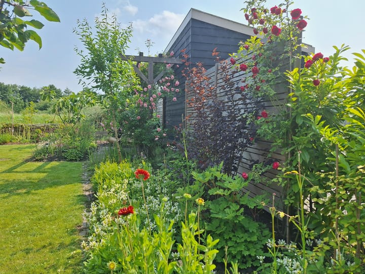 Foto 50 van Rietgorspad 20