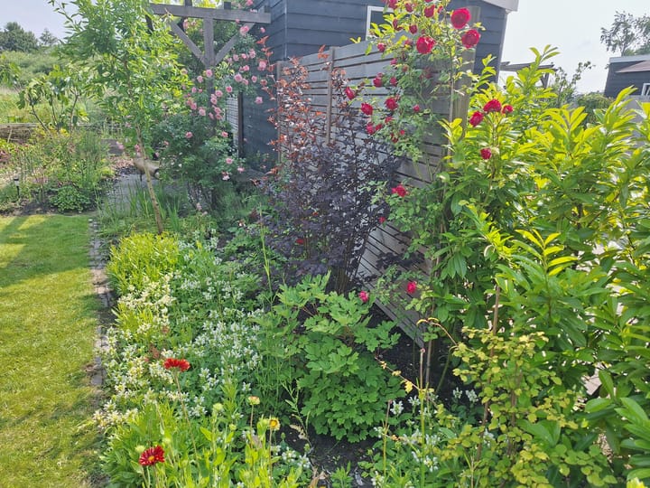 Foto 51 van Rietgorspad 20