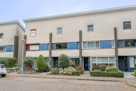 Kleine Vos thumbnail