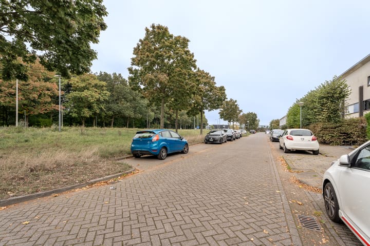 Foto 27 van Kleine Vos 27