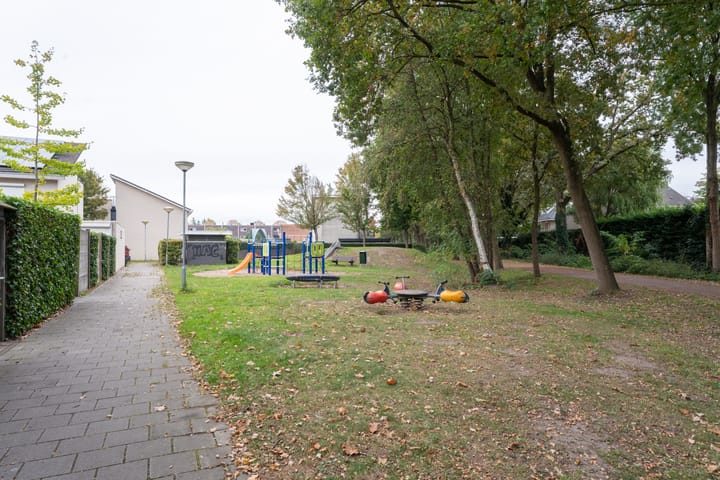 Foto 28 van Kleine Vos 27