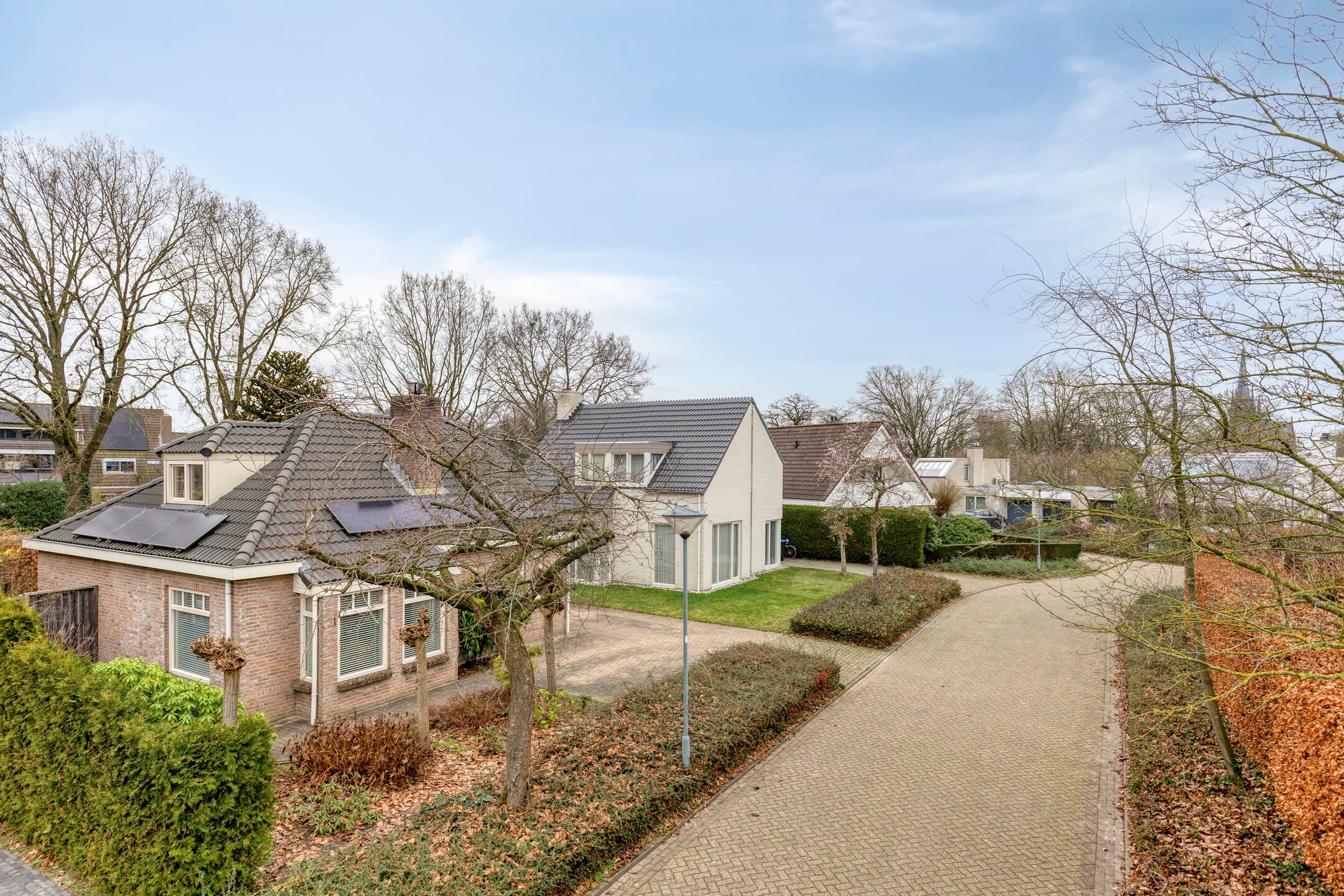 Photo 6 of Acacia 36