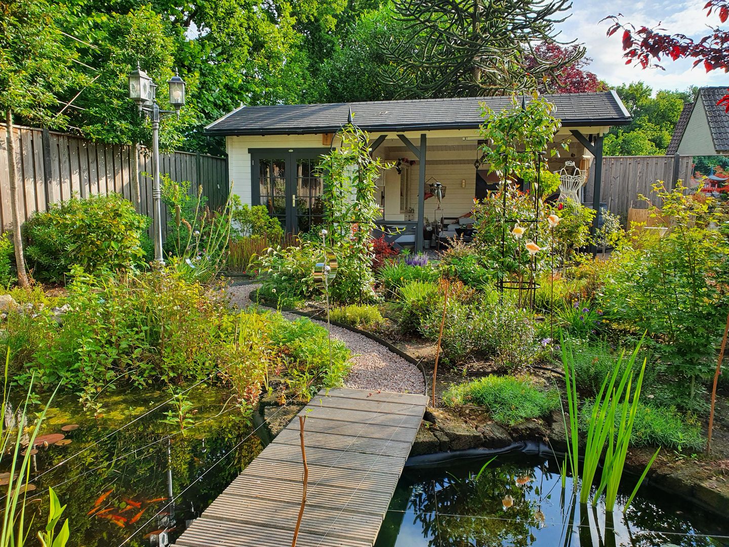 Photo 35 of Acacia 36