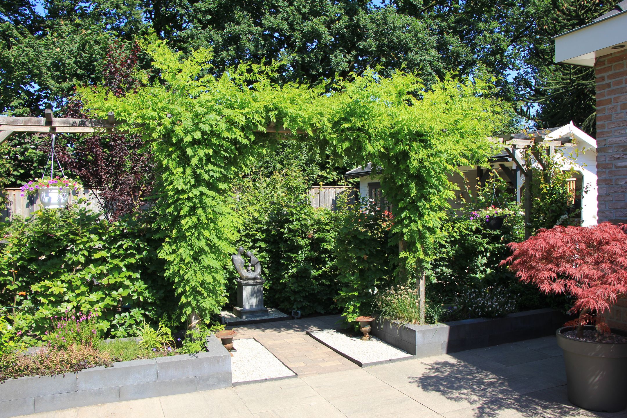 Photo 36 of Acacia 36