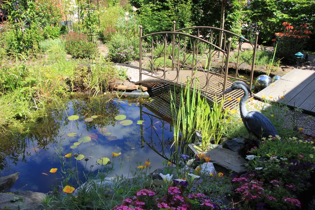 Photo 37 of Acacia 36