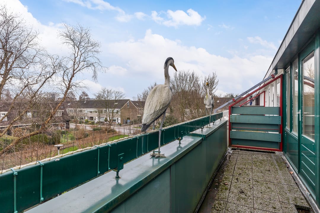 Foto 32 van Reinder Brolsmawei 10